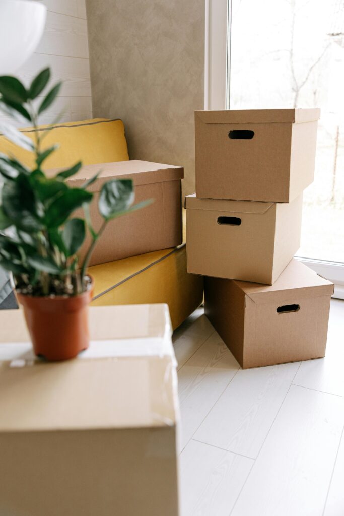 Cozy indoor scene with cardboard boxes and a potted plant, ideal for moving concepts.